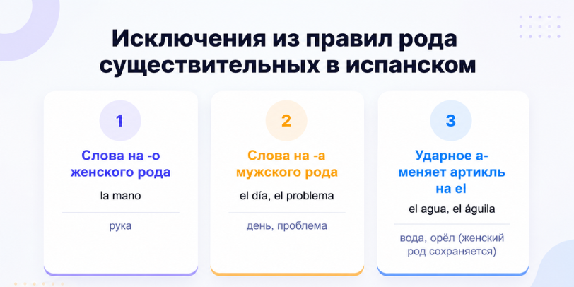 артикли в испанском языке инфографика